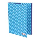 Heftbox A4  PRETTY, 