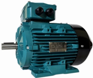 Motor trifásico IE3 30 kW 1500 rpm B3 motor eléctrico fundición gris ATB / Wolong WE3-200L - Imagen 1 de 3