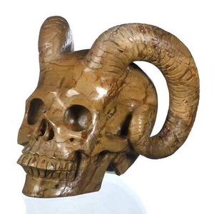 Calavera con cuernos de cristal de jaspe mocaí natural de 4,29" coleccionables Reiki, #31Q12 - Imagen 1 de 8