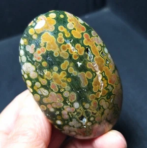 Raro 96.8G Natural Pulido Orbicular Océano Jaspe Conformal Reiki Sanación BA4325 - Imagen 1 de 18