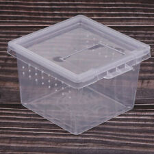 30x Fütterungsbox Haustier Insekten Reptilien Zuchtkäfig Brutbehälter klar