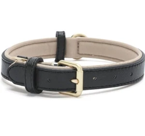 Padded Puppy Collars - Picture 1 of 6