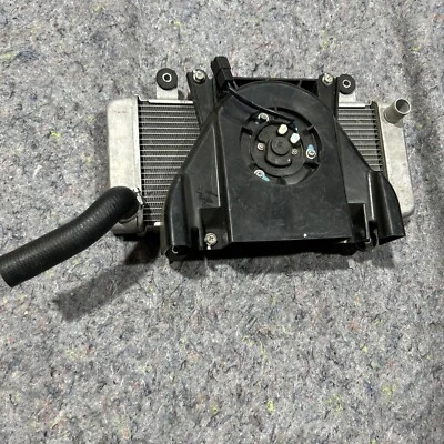 Radiador Kawasaki Ninja 300 2013-2014-2015 Foto 1 de 4