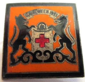 INSIGNIA DE INMUNIDAD DE LA UNIVERSIDAD DE ABERDEEN 1933 MUY RARA INSIGNIA ESMALTADA VINTAGE (53) - Imagen 1 de 3