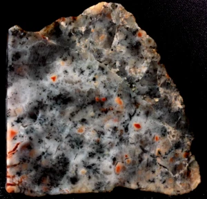 S201a ~ Losa gruesa de coral agatizado dendrítico de 3,0 oz ~ Utah - Imagen 1 de 10