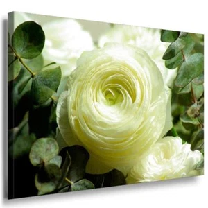 Weiße Rose Leinwandbild / AK Art Bilder / Mehrfarbig + Kunstdruck XXL Wandbild - Bild 1 von 5