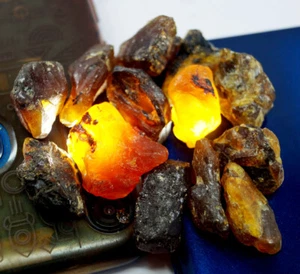 98.75 Ct Natural Honey Baltic Amber Untreated Specimen Certified Rough 13 Pc Lot - Picture 1 of 4