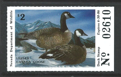 Bigjake: #NV-7,  $2.00 Lesser Canada Geese, 1985 Nevada Duck Stamp - Image 1 of 2