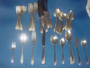 ROGERS BROS DAFFOLDIL 8 LUGARES JUEGO DE CUBIERTOS 48 PIEZAS PLATEADO 1950 DE COLECCIÓN - Imagen 1 de 5