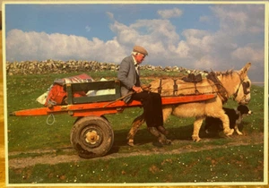 Irish Farmer PC GOING HOME Man w Donkey Cart O'Toole John Hinde Ireland P&P 47 - Imagen 1 de 2