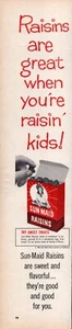 Sun-Maid Raisins "Great when You're Raisin' Kids" 1964 Vintage Print Ad-C-2.1 - Picture 1 of 1