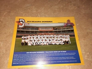 2021 DELMARVA SHOREBIRDS TEAM PHOTO 8x10 SOME TOP PROSPECTS IN THE PHOTO. - Picture 1 of 7