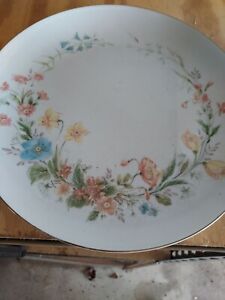 Premiere Fine China BERKSHIRE MD104 Dinner Plate 10 1/2" 1 ea   6 available