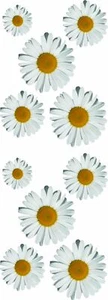 Aufkleber Margeritenblüten-Set 550 x 200 mm Sticker Auto Blumen - Bild 1 von 1