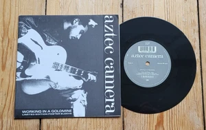 Aztec Camera Working In a Goldmine  7"  Ltd Poster Sleeve Indie Postcard Frame - Foto 1 di 4