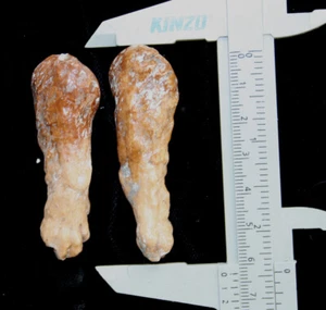 Antique porcelain parts for a Bear - Picture 1 of 2