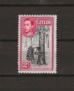 CEYLON 1938/49 SG 386 MINT - Picture 1 of 2