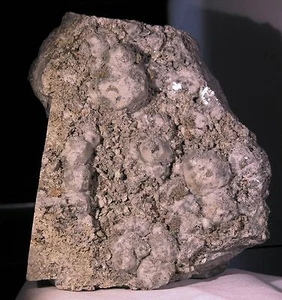  Large ANALCIME Crystals Fine Mineral Specimen Mount Saint Hilaire - Picture 1 of 4