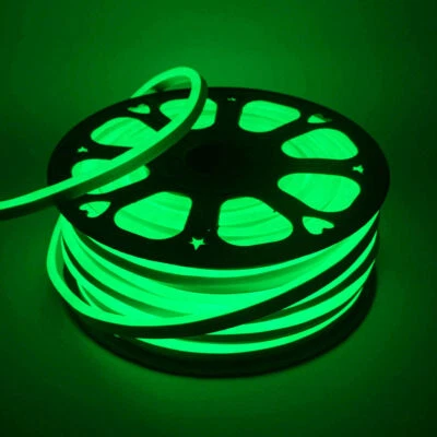 12V/24V LED Neon Rope Light Strip Waterproof Room Party Garden Building Decor - Image 1 of 4