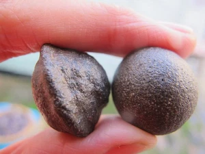 Moqui Marbles Crystal Thunderballs Giant Triple männlich weiblich Schamane Paar 29,9g - Bild 1 von 21