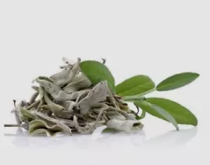 Premium Natural Herbs || Sage from lebanon | 100g | ميرمية لبنانية | اعشاب - Picture 1 of 1