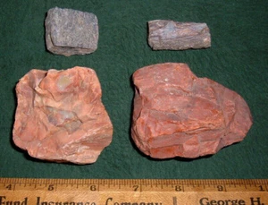 (4) Flora/Fauna Fossils, Petrified Wood & Dino. Bone, Min. 60 Million Years Old - Picture 1 of 5