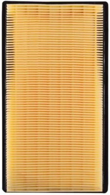 Filtro de aire AF5421 para KIA Rio 2003-2005 - 4 cil 1,6 L F.I 16V Foto 1 de 4