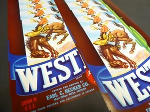 X10 WHOLESALE VEGGIE CRATE LABEL WESTIE BRONCO COWBOY MESA AZ VINTAGE RODEO - Picture 1 of 2