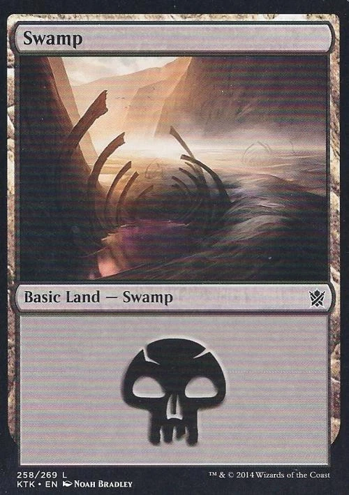 Swamp (258) -Foil Medium Play MTG Khans of Tarkir - Image 1 of 1