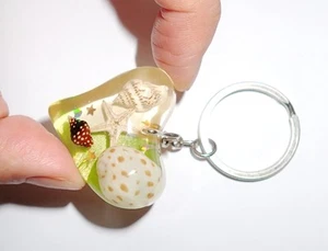 Resin Heart shape Key Ring 3 Seashell & 1 Starfish Specimen Green Bottom - Picture 1 of 6