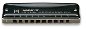 Suzuki Hammond HA-20 Diatonic Harmonica New Fa Grave / Low F - Fast Shipping! - Picture 1 of 8