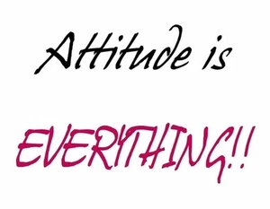 Attitude is Everything Wall Quote Words Peel and Stick Mural - Picture 1 of 1