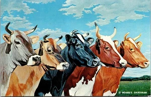 Vintage 1961 Five Queens Hoard's Dairyman Milchkuhrassen Farbpostkarte unbenutzt - Bild 1 von 2