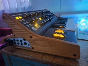 Moog Subsequent 25 Paraphonic Analog Synthesizer Inc Flight Case - Picture 1 of 19