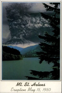 Washington WA Mount St. Helens, Eruption May 18 1980 Postcard - Picture 1 of 2