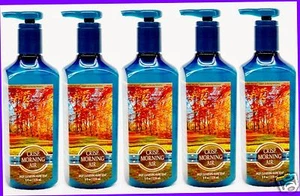 5 Bath & Body Works CRISP MORNING AIR Tiefenreinigende Handseife - Bild 1 von 1