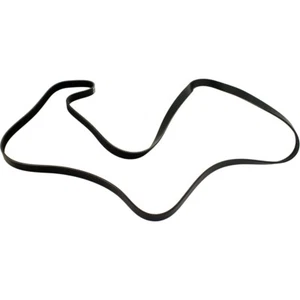 5060855 Dayco Drive Belt for Chevy MB Mercedes Pickup Explorer C Class Gladiator - Picture 1 of 4