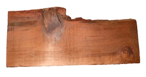 OLDGROWTH LOSA DE SECUOYA TORNEADO ARTESANÍA CARPINTERÍA APROX 18x8x1,5 IN - Imagen 1 de 2