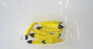 Breadworm Bait Boxed Luminous Bait Soft Worm Bait - Picture 1 of 6