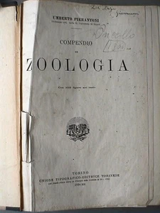 ZOOLOGISCHES KOMPENDIUM Umberto Pierantoni UTET. 1934 ZOOTECHNIK für die Zucht - Bild 1 von 1