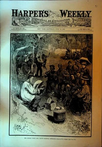 Harper's Weekly Magazine June 23 1883 Chinese Picnic Iona Island Homeopathy - Picture 1 of 6