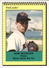 1991 Winter Haven Red Sox ProCards #484 Mark Mitchelson