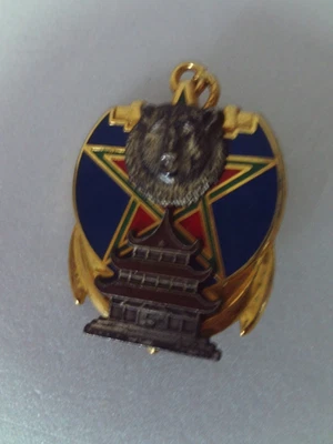 Insigne 5 Escadron du RICM fabrication DRAGO - Photo 1/4