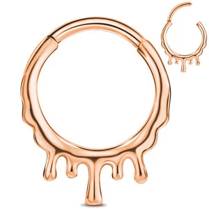 Multistyle 16G Steel HINGED Segment Nose Ring Septum Clicker Daith Hoop Earrings - Picture 1 of 26