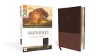 The Amplified Study Bible, Leathersoft, Brown by Zondervan (English) Leather Boo