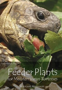 Edible Tortoise Food Guide ‘FEEDER PLANTS FOR MEDITERRANEAN TORTOISE’ Wild Guide - Imagen 1 de 2