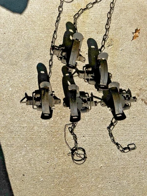 3 vintage Blake & lamb and 2 Victor # 1 1/2 double coil spring - Image 1 of 4