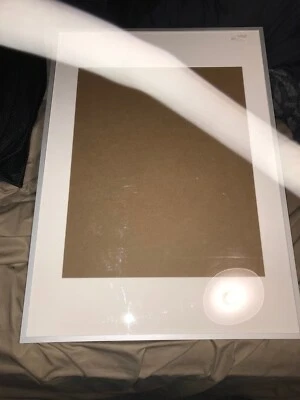 IKEA LOMVIKEN Marco Aluminio GRANDE 19 3/4 "x27 1/2" Foto 1 de 3