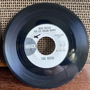 PROMO THE BUSH WHO KILLED THE ICE CREAM MAN / I'M WANTING HER 45 RPM RECORD - Foto 1 di 2