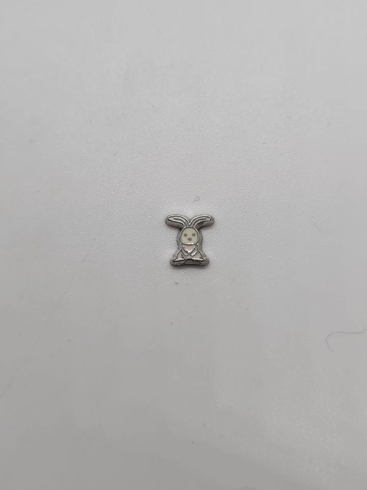 Dije flotante de conejo de Pascua #312 para tu medallón de búho de origami envío gratuito Foto 1 de 1
